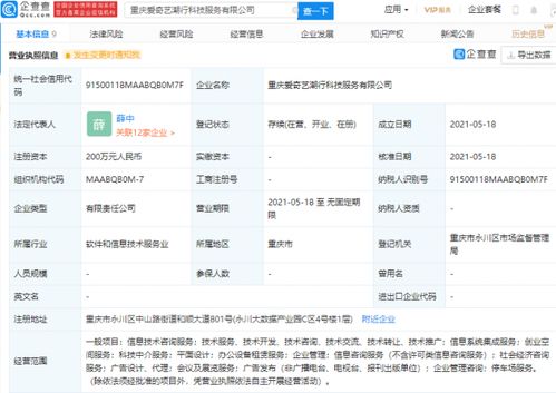 爱奇艺布局科技服务新领域 参股成立科技服务公司